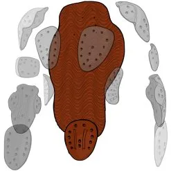 Xion Sleeveless Vest Freeride Mens 7 Xion Sleeveless Vest Freeride Mens -Planche à Ski xion sleevelessvest black1