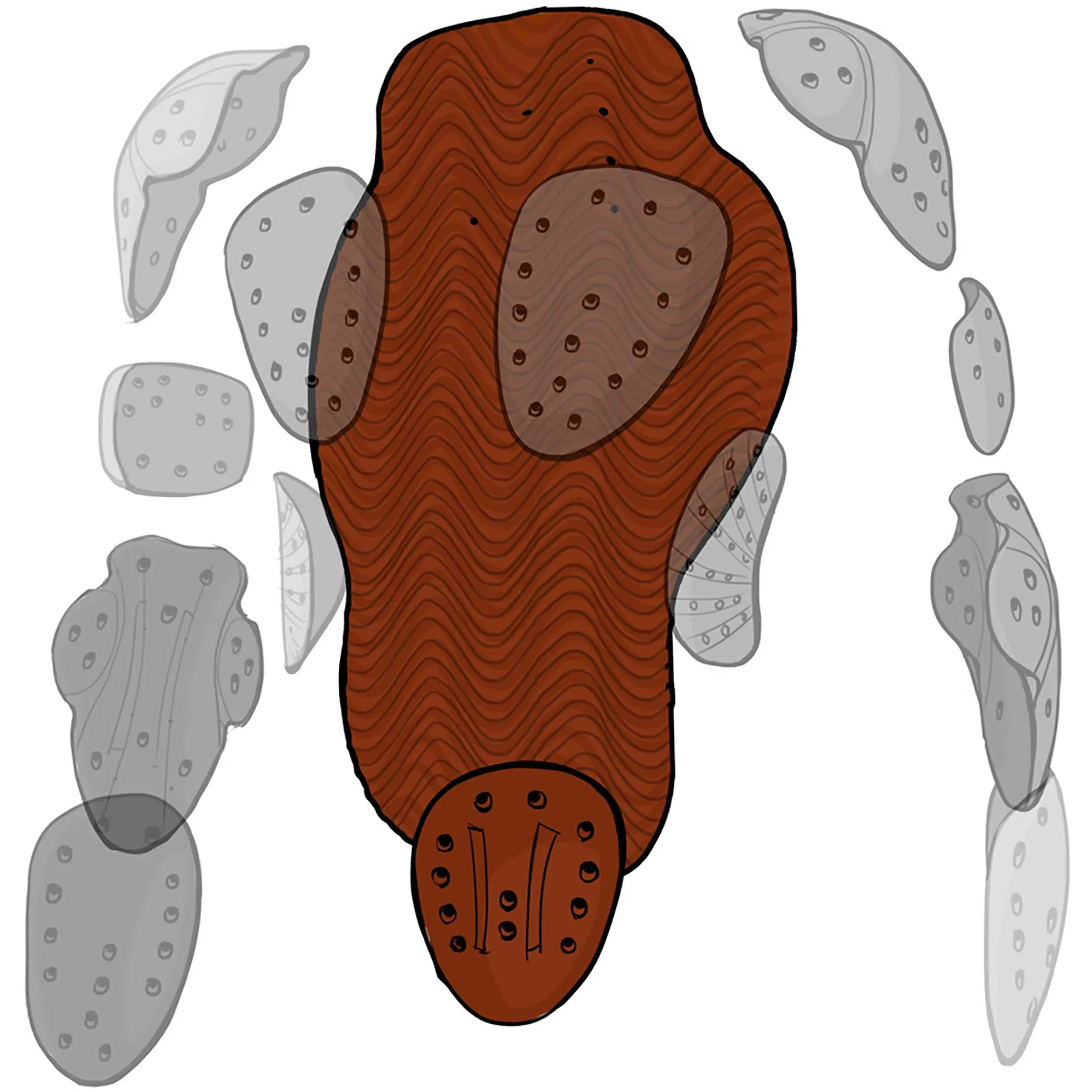 Xion Sleeveless Vest Freeride Mens 4 Xion Sleeveless Vest Freeride Mens – Image 4